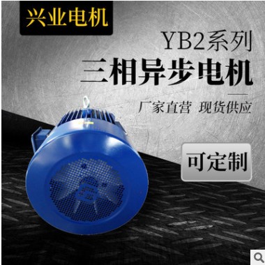 三相异步电动机批发YE系列2/4/6/8级防爆电机立式卧式电机现货图2