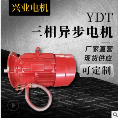 厂家现货供应飞马变频调速电动机YDT 机械设备行业用电机型号齐全图2