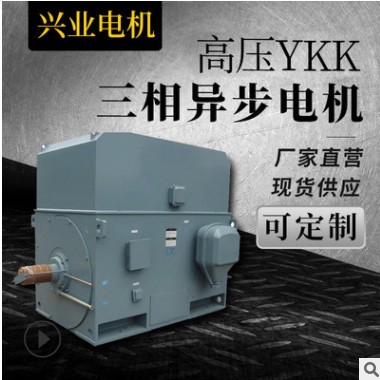 高压YKK三相异步电动机高效电机中速电机ISO9001能效标识双认证图2